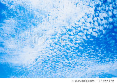 雲秤 78766576