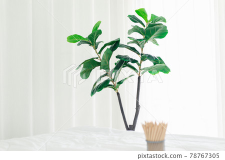 Beautiful Fiddle-leaf fig plants interior design in bedroom,Cozy home 78767305