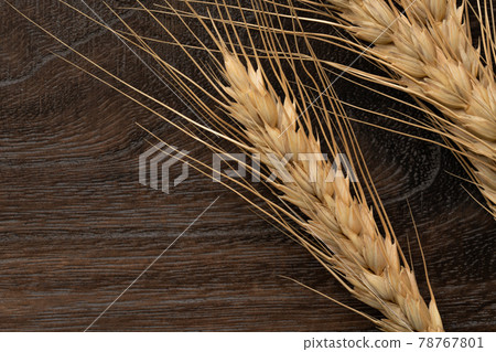 Wheat ears Wheat ears 78767801