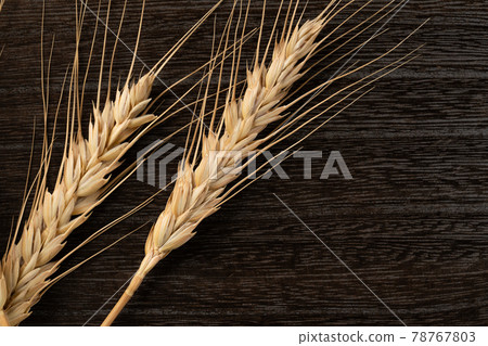 Wheat ears Wheat ears 78767803