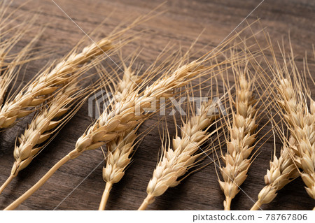 Wheat ears Wheat ears 78767806