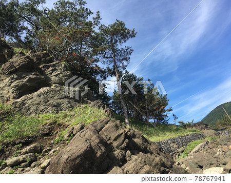 一塊岩石的地方 78767941