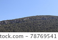 Green fir tree in natural background in Turkey. Pine tree forest background 78769541