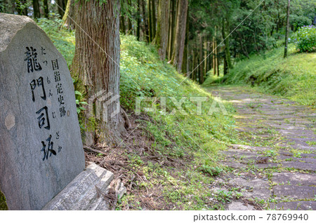 龍莫薩卡 78769940