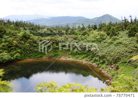 Hachimantai in summer, a spectacle swamp that reflects trees and clouds 78770471