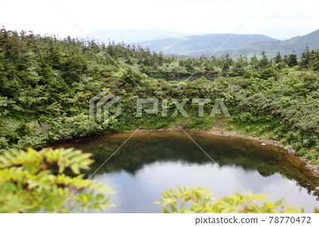 Hachimantai in summer, a spectacle swamp that reflects trees and clouds 78770472