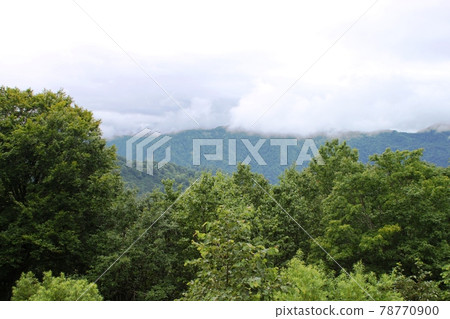 Mountains of the Shirakami Mountains with clouds 78770900