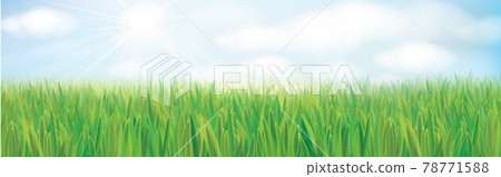 Vector sunshine nature background. Summer landscape with blue sky and green grass. Vector sunshine nature background. Summer landscape with blue sky and green grass. 78771588
