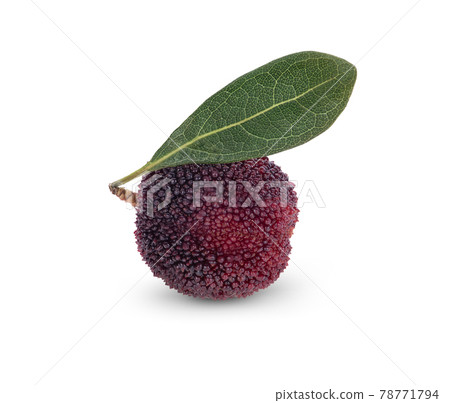 waxberry isolated on white background waxberry isolated on white background 78771794