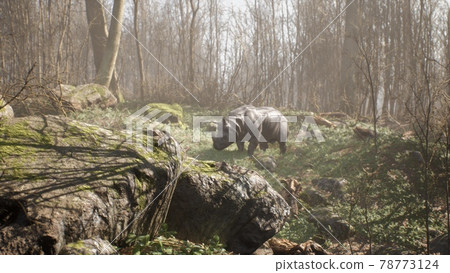 The Indian rhinoceros grazes in a clearing and eats green grass. Wild animals and wildlife. 3D Rendering. The Indian rhinoceros grazes in a clearing and eats green grass. Wild animals and wildlife. 3D Rendering. 78773124