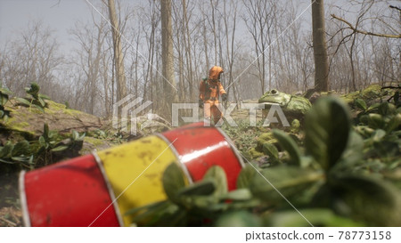 A terrible huge frog grown on pesticides attacks a defenseless biologist studying the forest. Attack of a terrible mutant. 3D Rendering. 78773158