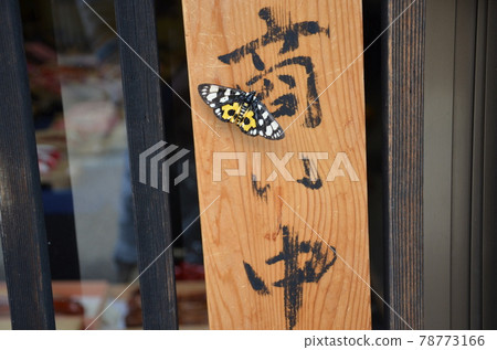 welcome! welcome! 78773166