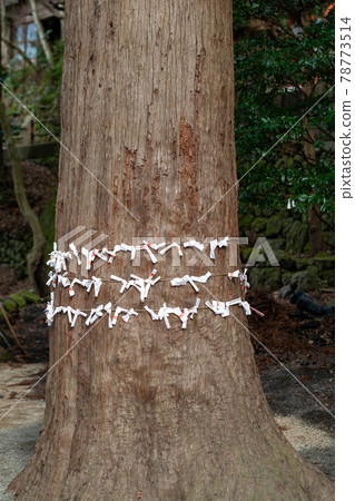 Wish Paper, Tenso Shrine, Yufuin, Oita Prefecture, Japan 78773514
