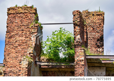 A destroyed brick building on the territory of the Oreshek fortress A destroyed brick building on the territory of the Oreshek fortress 78773895