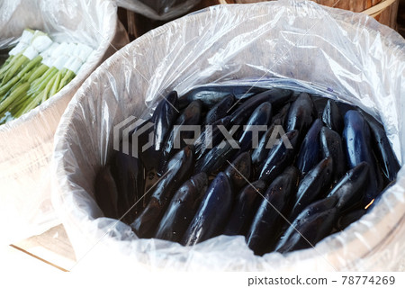 茄子醃茄子 茄子醃茄子 78774269