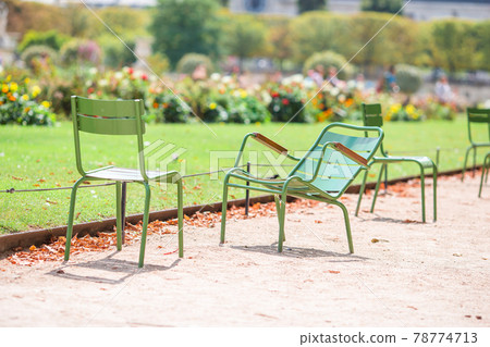 Traditional green chairs in the Tuileries garden in Paris, France Traditional green chairs in the Tuileries garden in Paris, France 78774713