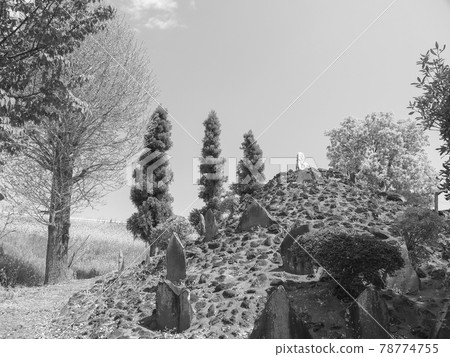 Fujitake Hanekura, Shiki City, Saitama Prefecture 78774755