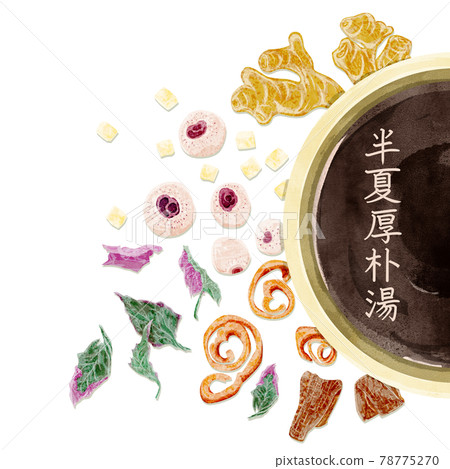 中草藥“Hangekobokuto”手繪水彩風格插畫 中草藥“Hangekobokuto”手繪水彩風格插畫 78775270
