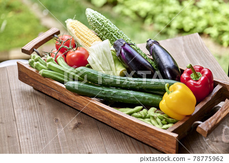 夏季蔬菜圖像 夏季蔬菜圖像 78775962