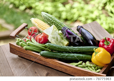 夏季蔬菜圖像 夏季蔬菜圖像 78775963