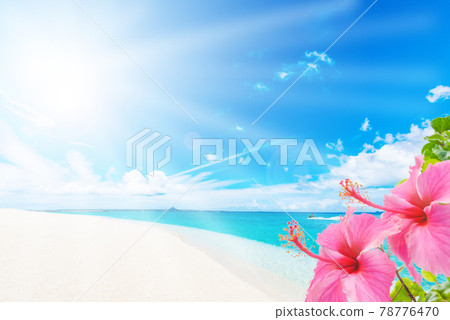 Sunny Okinawa sea Sunny Okinawa sea 78776470