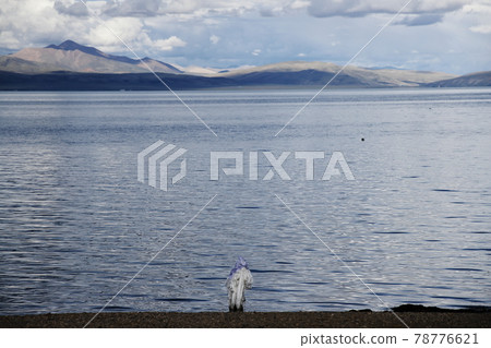 Lake Manasarovar 78776621