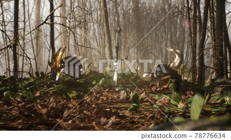 The helmets of a medieval knight and a Viking lie at the site of the final battle in the middle of the forest with a sword stuck in the ground. 3D Rendering. The helmets of a medieval knight and a Viking lie at the site of the final battle in the middle of the forest with a sword stuck in the ground. 3D Rendering. 78776634