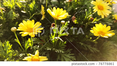 background, backgrounds, backdrop 78778861