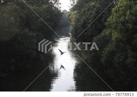 Tainan River 78778913