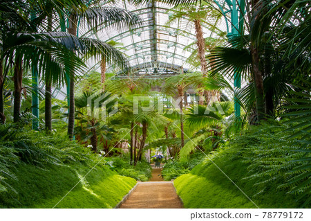 Belgium, Brussels, Royal Greenhouses of Laeken, Inside 78779172