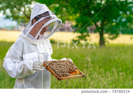 Beekeeper inspects bees in a protective suit Beekeeper inspects bees in a protective suit 78780524