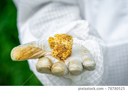 beeswax in the hands of the beekeeper beeswax in the hands of the beekeeper 78780525