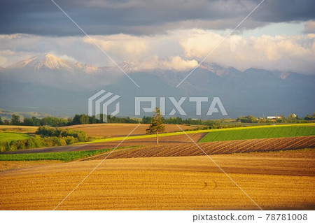 Biei-cho, Hokkaido, a patchwork road during the harvest season Biei-cho, Hokkaido, a patchwork road during the harvest season 78781008