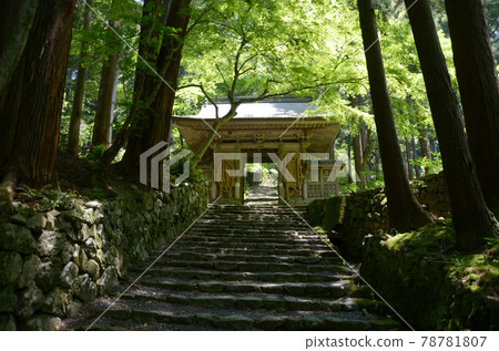 Hyakusaiji Temple Niomon, Higashiomi City, Shiga Prefecture 78781807