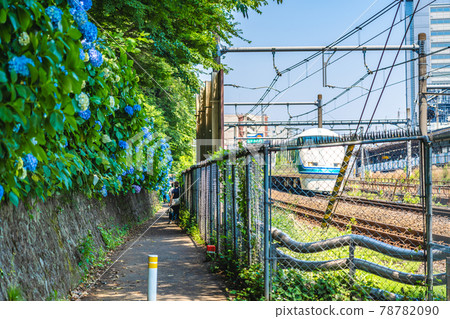 東京明日香小路的城市景觀和繡球花景觀 東京明日香小路的城市景觀和繡球花景觀 78782090