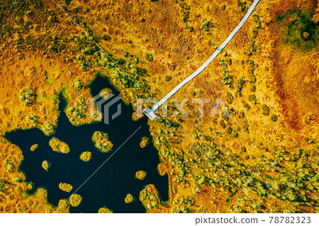 Miory District, Vitebsk Region, Belarus. The Yelnya Swamp. Aerial View Of Yelnya Nature Reserve Landscape. Narrow Wooden Hiking Trail Winding Through Marsh. Cognitive Boardwalk Trail Over A Wetland 78782323