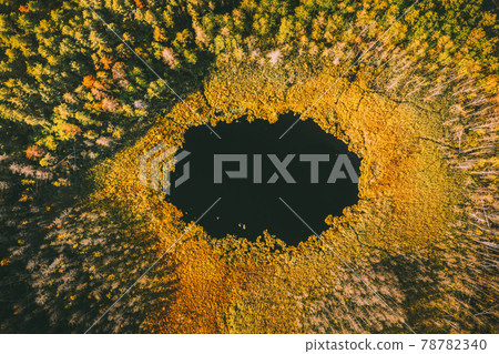 Braslaw Or Braslau, Vitebsk Region, Belarus. Aerial View Of Round Lake And Green Forest Landscape In Sunny Autumn Day. Top View Of Famous Lakes. Natural Landmarks Braslaw Or Braslau, Vitebsk Region, Belarus. Aerial View Of Round Lake And Green Forest Landscape In Sunny Autumn Day. Top View Of Famous Lakes. Natural Landmarks 78782340