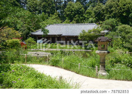 Joruri-ji Garden and Main Hall, Kizugawa City, Kyoto Prefecture Joruri-ji Garden and Main Hall, Kizugawa City, Kyoto Prefecture 78782853