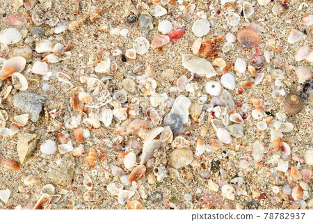 Masuhogaura Beach (Ishikawa Prefecture) 78782937