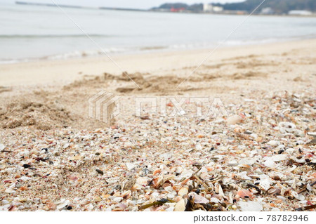 Masuhogaura Beach (Ishikawa Prefecture) Masuhogaura Beach (Ishikawa Prefecture) 78782946