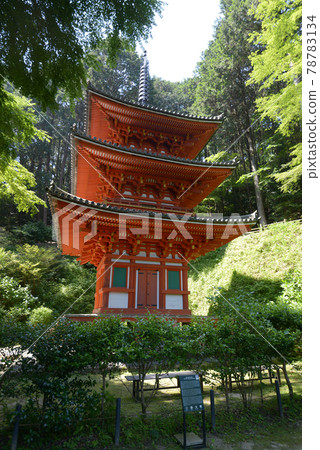 京都府木津川市岩船寺三重塔 京都府木津川市岩船寺三重塔 78783134