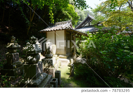 京都府甘泉寺會堂和本堂木津川市 京都府甘泉寺會堂和本堂木津川市 78783295