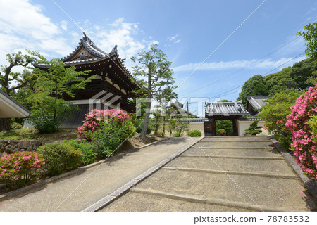 京都市伏見區法東寺參道和鍾樓 78783532