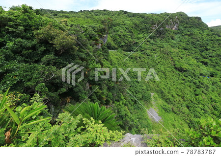 Scenery seen from Kunigami Village, Kunigami Village, Okinawa 78783787