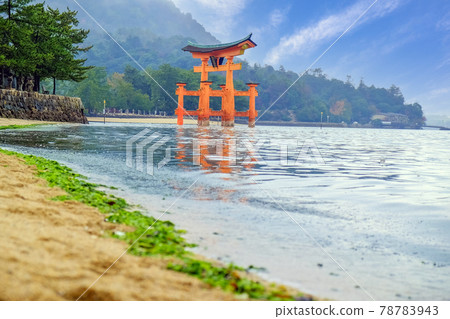 Otorii of Miyajima Otorii of Miyajima 78783943