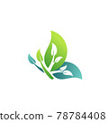 butterfly logo icon, natural beauty plants concept spa logo symbol  78784408