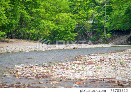 Scenery of the Ojika River Scenery around Tokkozawa Fureai Square Nikko City Scenery of the Ojika River Scenery around Tokkozawa Fureai Square Nikko City 78785823