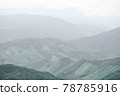 Panoramic landscape picture of fresh green rain forest and mountain background. 78785916