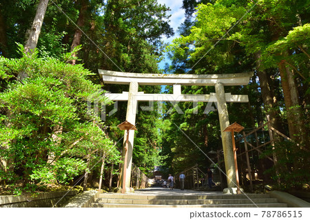 新潟青空彌彥神社二鳥居 新潟青空彌彥神社二鳥居 78786515
