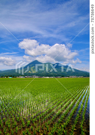 Paddy and Bandai (Fukushima · Inawashiro machi) 78786649